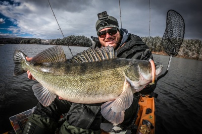 Джиг риболов на бяла риба. Риболов със силиконови примамки